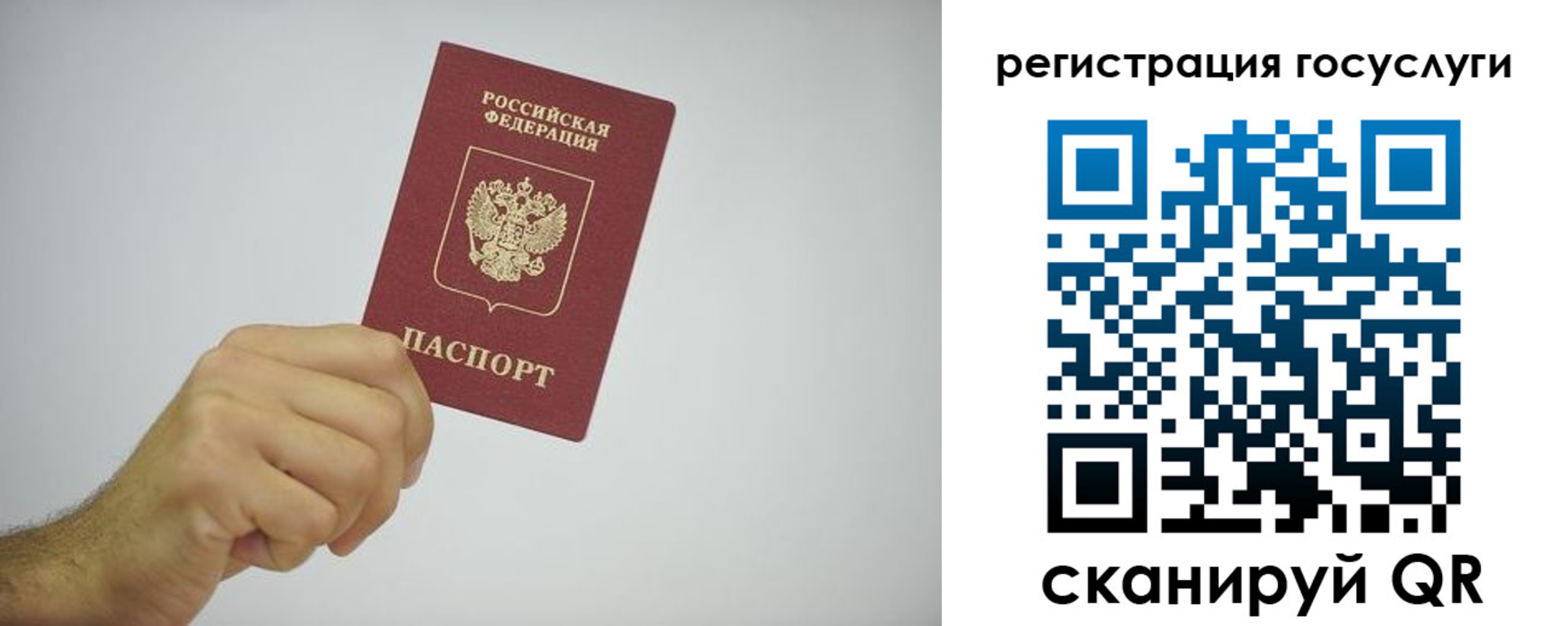 временная регистрация гарантия в Ивантеевке